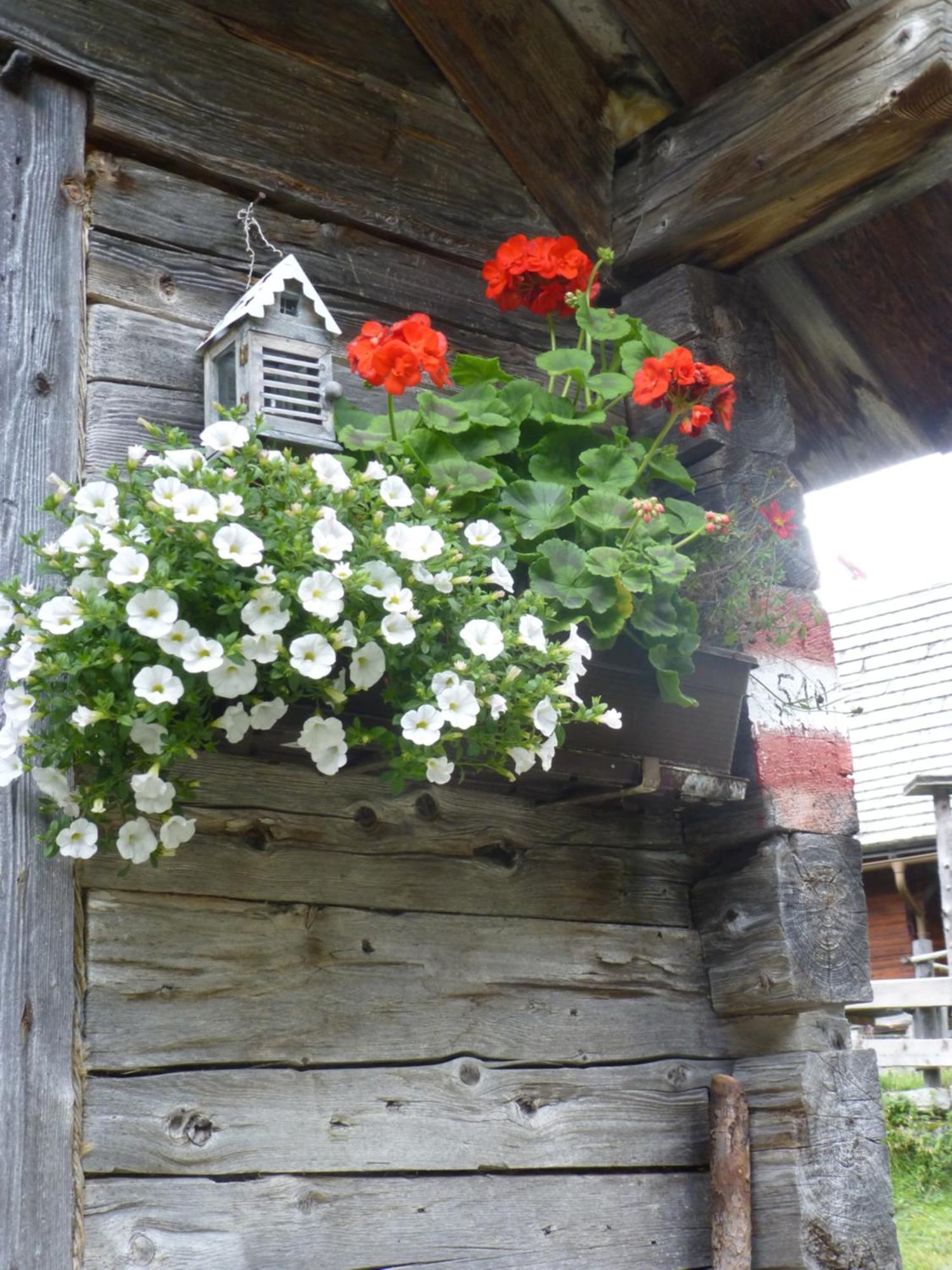 B&B,Bergheimat Oase Irschen Exterior foto